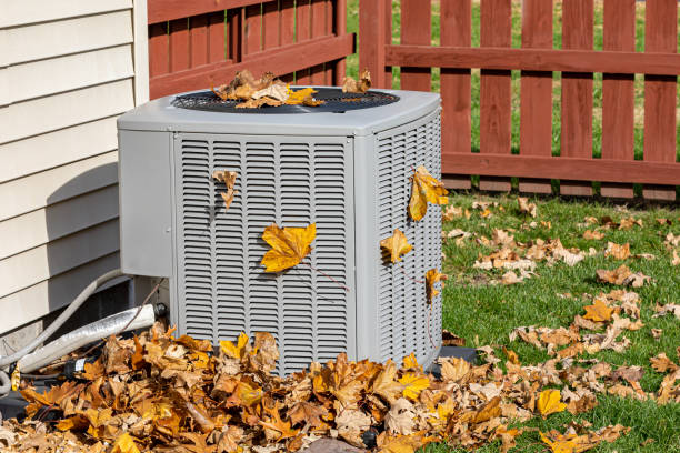 Best HVAC Repair Near Me  in Palm Harbor, FL