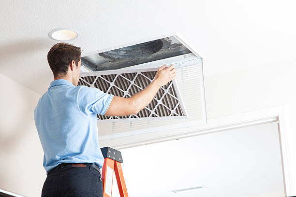 Best HVAC Air Duct Cleaning  in Palm Harbor, FL